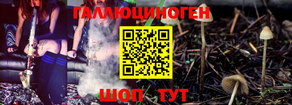 Псилоцибиновые грибы Psilocybe Кимовск